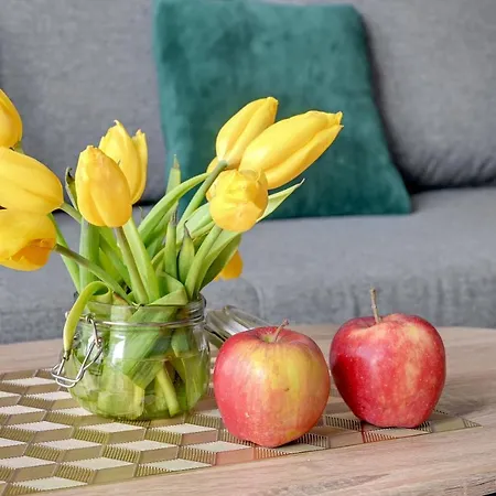 Letnica Triapart Apartment *
